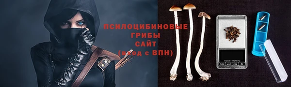 spice Алексеевка