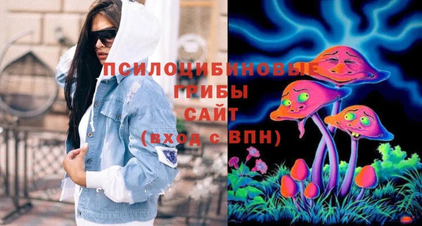 Альфа ПВП Алексин