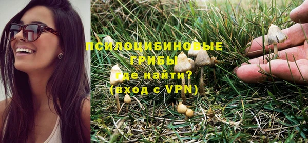 круглые Алзамай