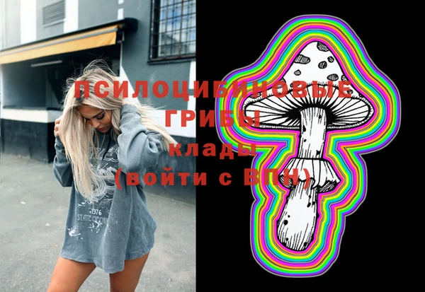 круглые Алзамай
