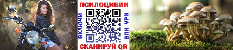 Псилоцибиновые грибы мицелий  Трёхгорный 