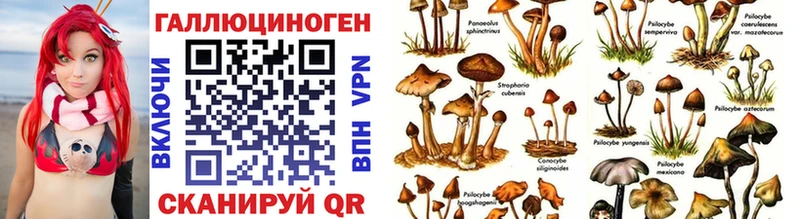 Галлюциногенные грибы Psilocybe Трёхгорный